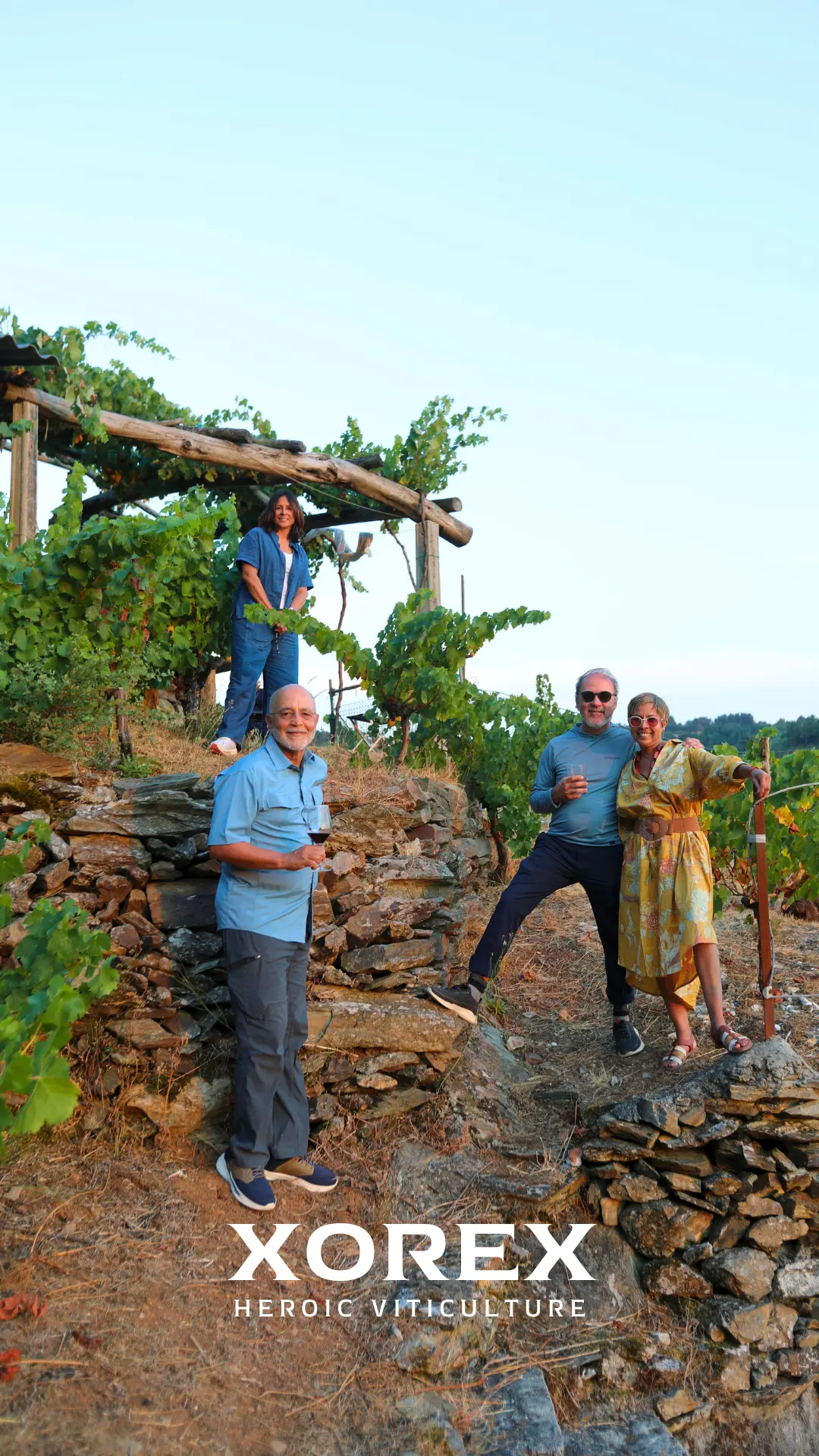 Visitas al viñedo Xorex en la Ribeira Sacra