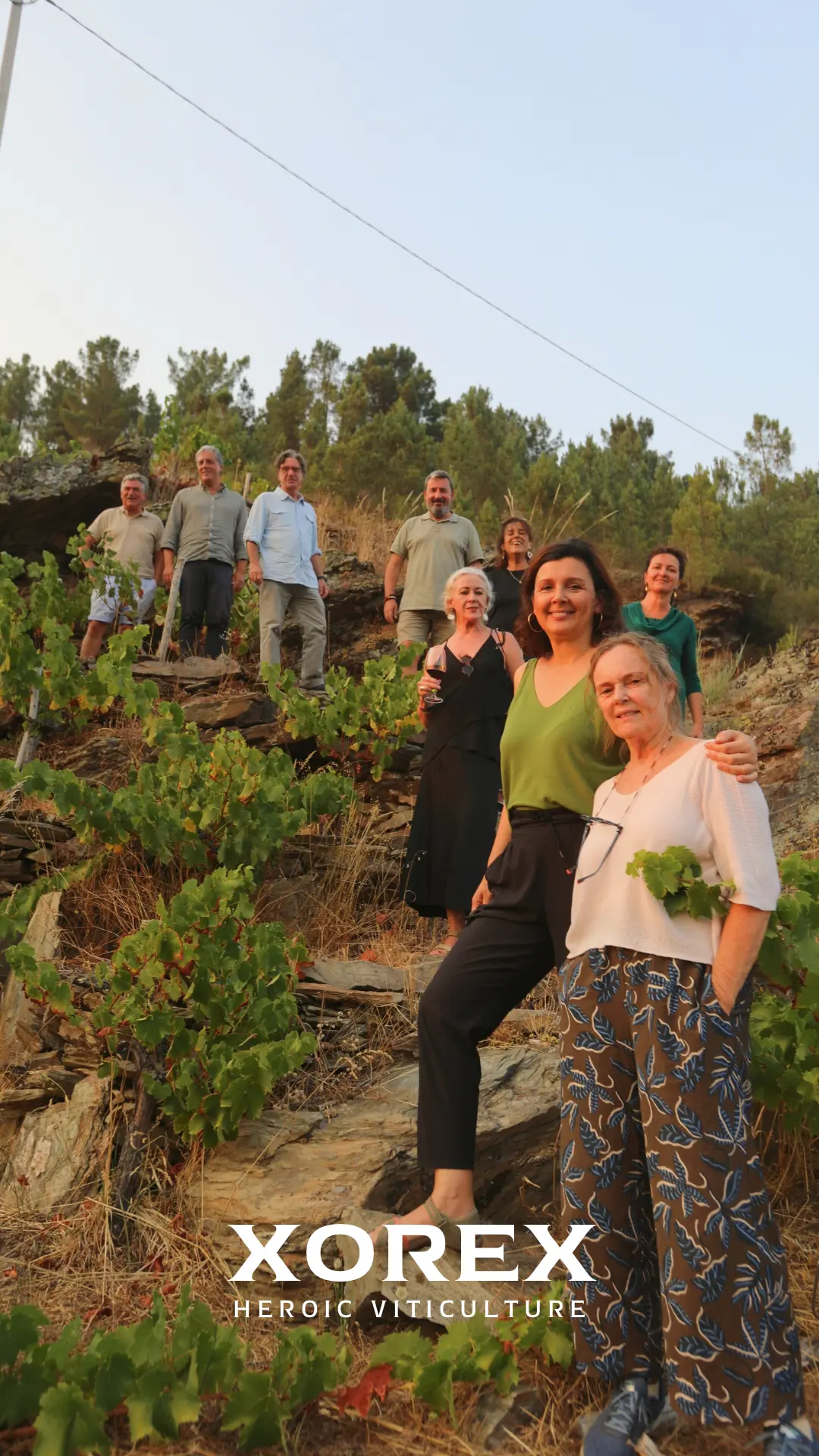 Visitas al viñedo Xorex en la Ribeira Sacra