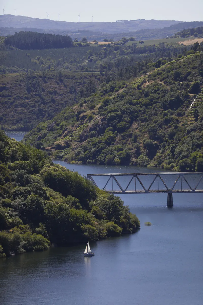 Velero en el río Miño junto al puente
